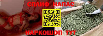 прущие грибы Коммунар